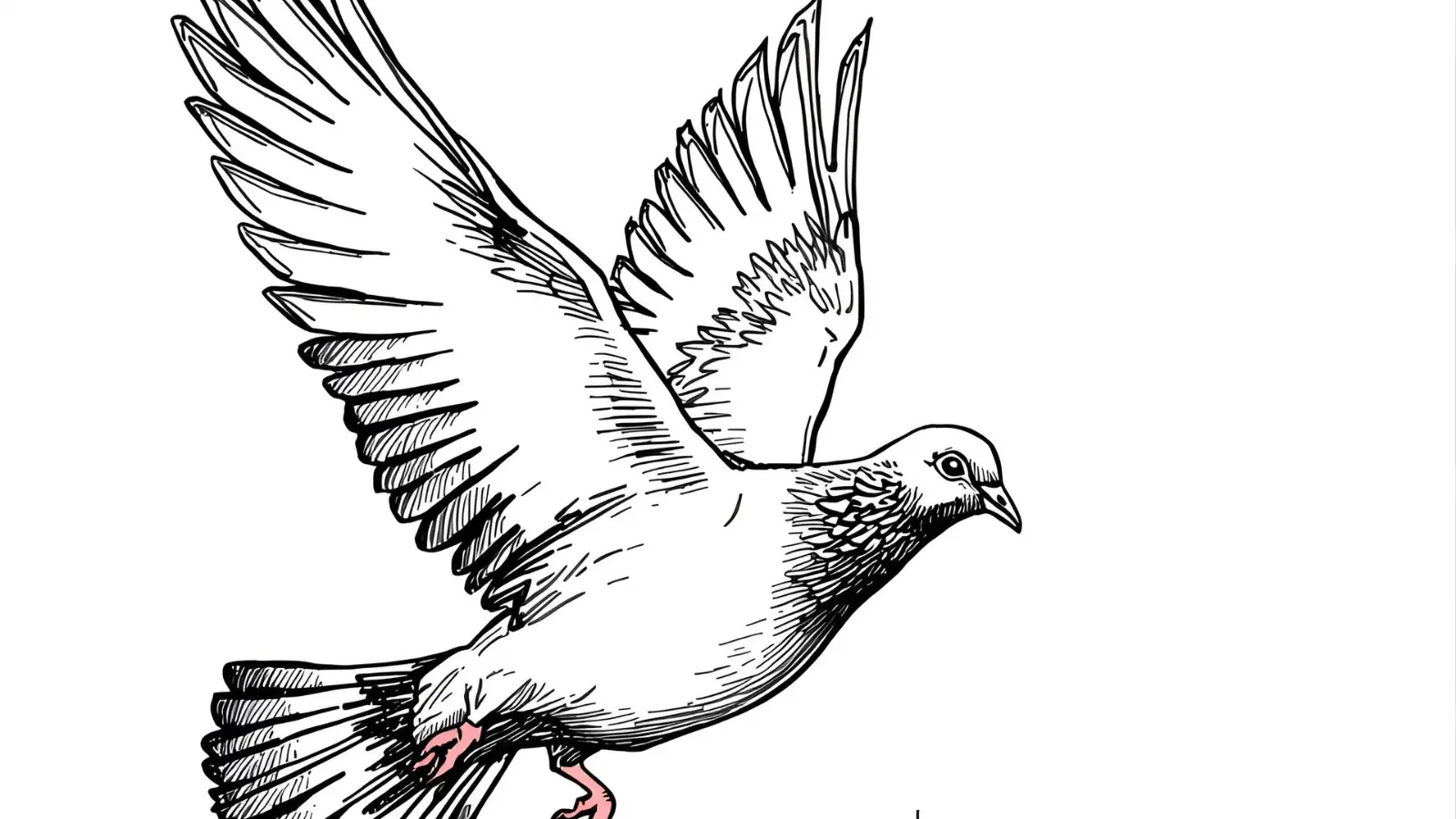 Pigeon Puns