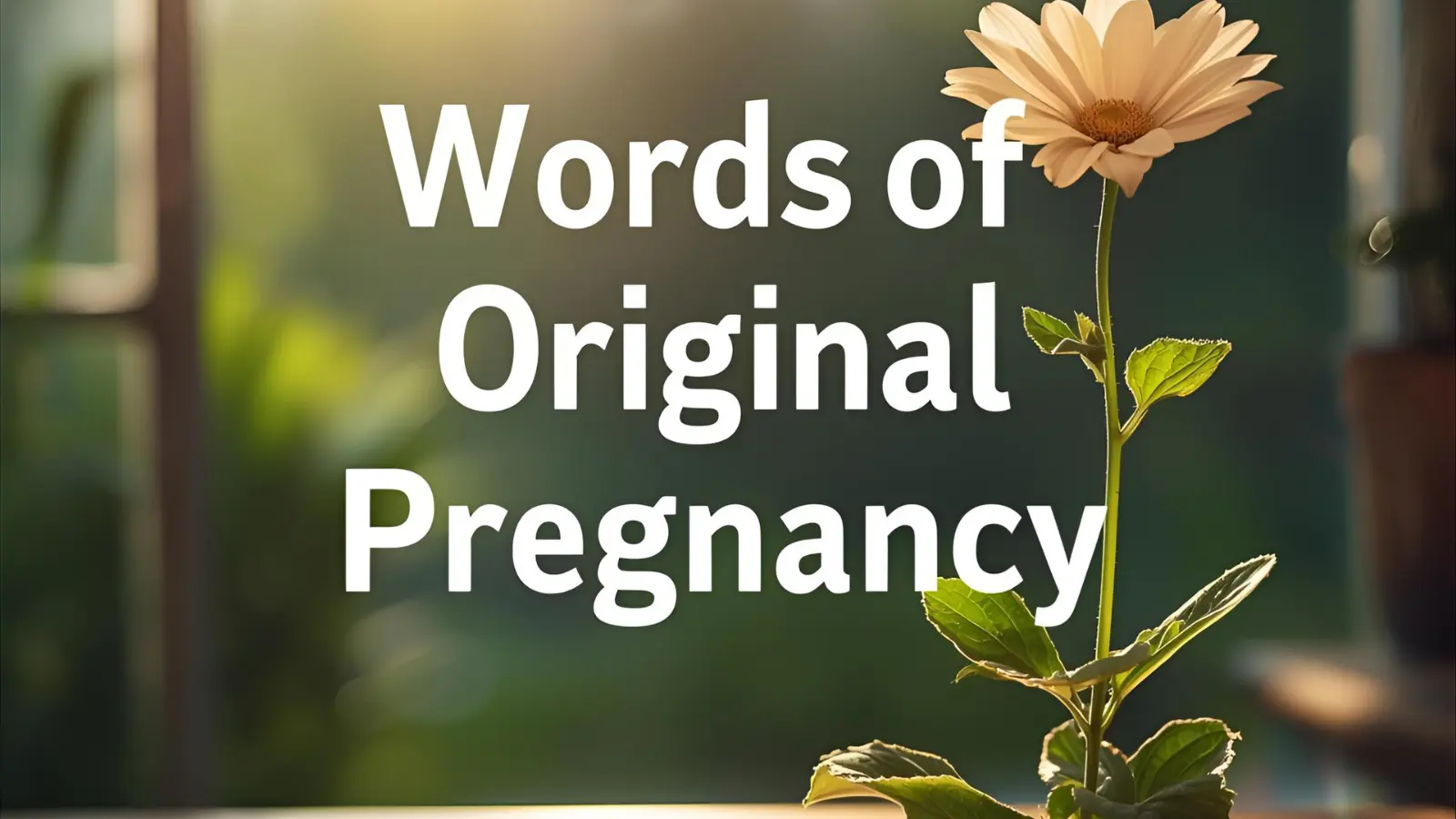 Words of Original Pregnancy Puns