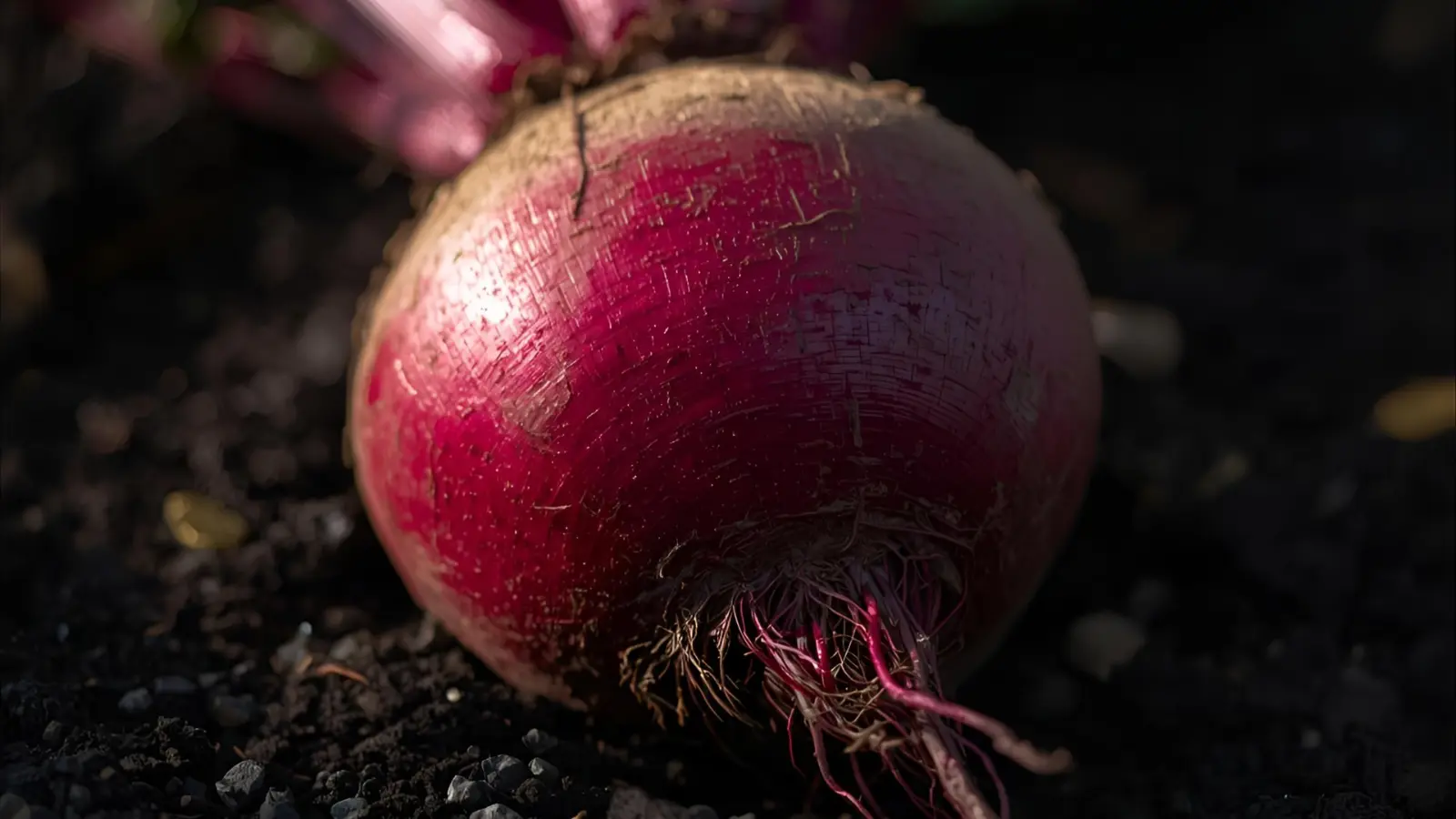 Beet Puns