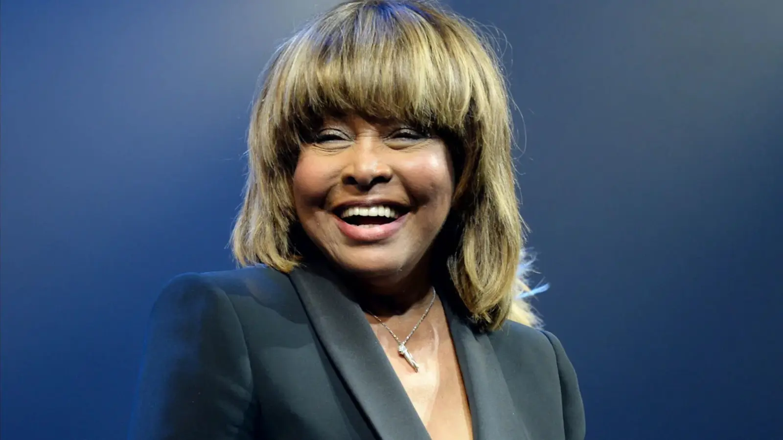 Tina Turner Net Worth