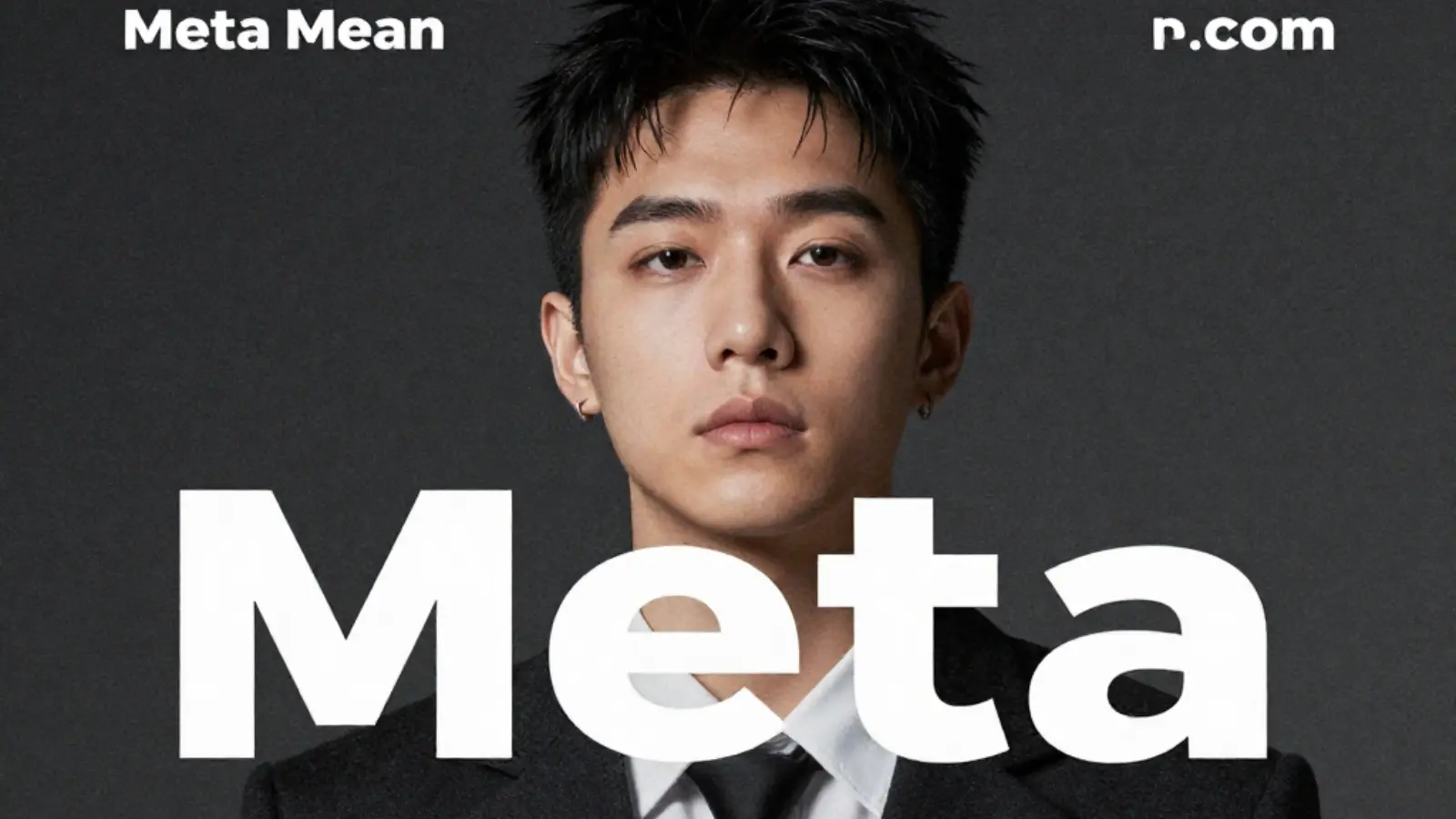 What Does Meta Mean